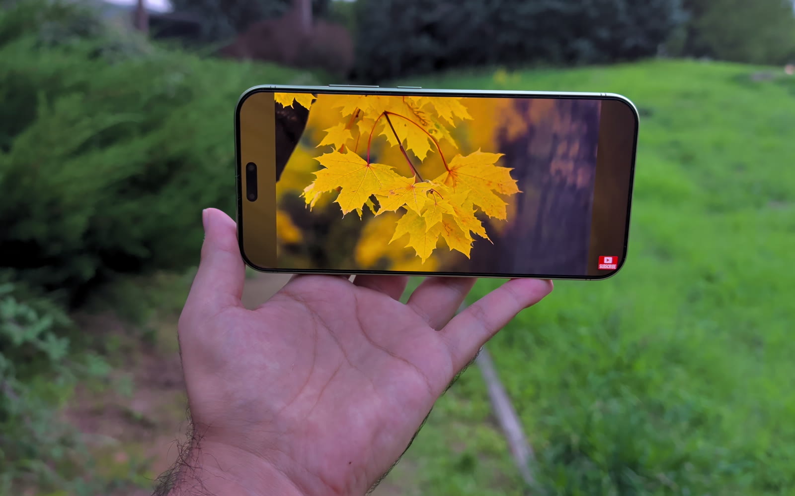 Pantalla OLED de 6,8 pulgadas del Honor Magic 9 Pro Max reproduciendo vídeo